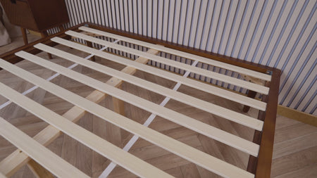 Video de información