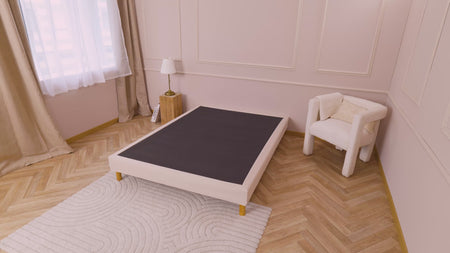 Video de información