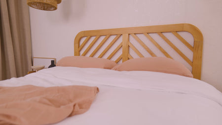 Video de información