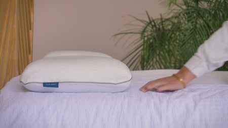 Video de información