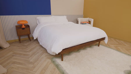 Video de información