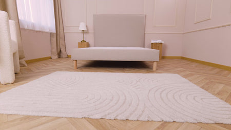 Video de información