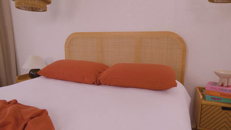 Video de información