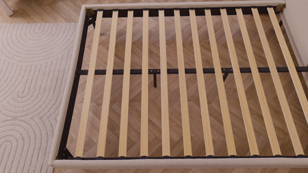 Video de información