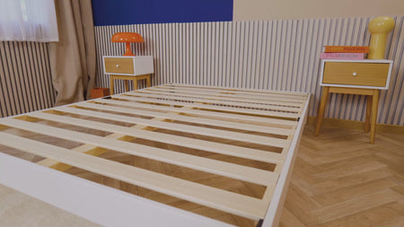 Video de información