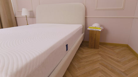 Video de información